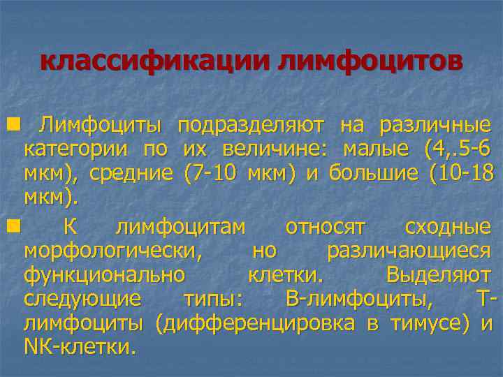  классификации лимфоцитов n Лимфоциты подразделяют на различные категории по их величине: малые (4,