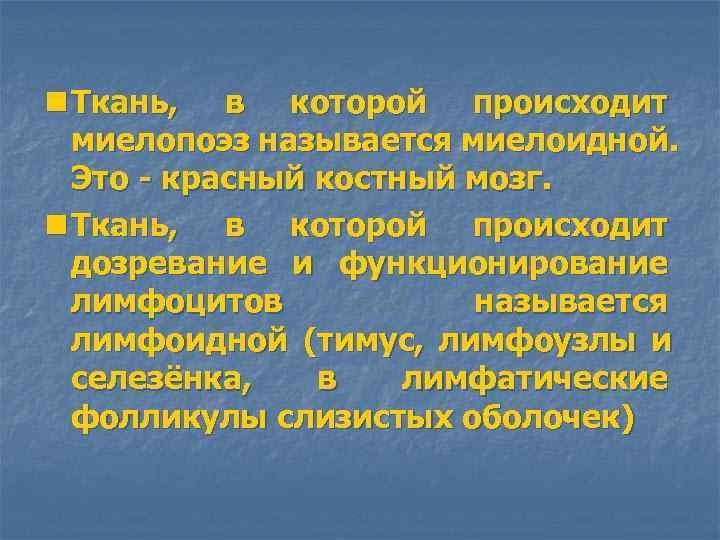 n Ткань, в которой происходит миелопоэз называется миелоидной. Это - красный костный мозг. n