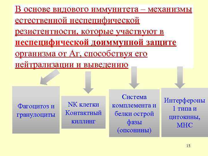 В основе видового иммунитета – механизмы естественной неспецифической резистентности, которые участвуют в неспецифической доиммунной