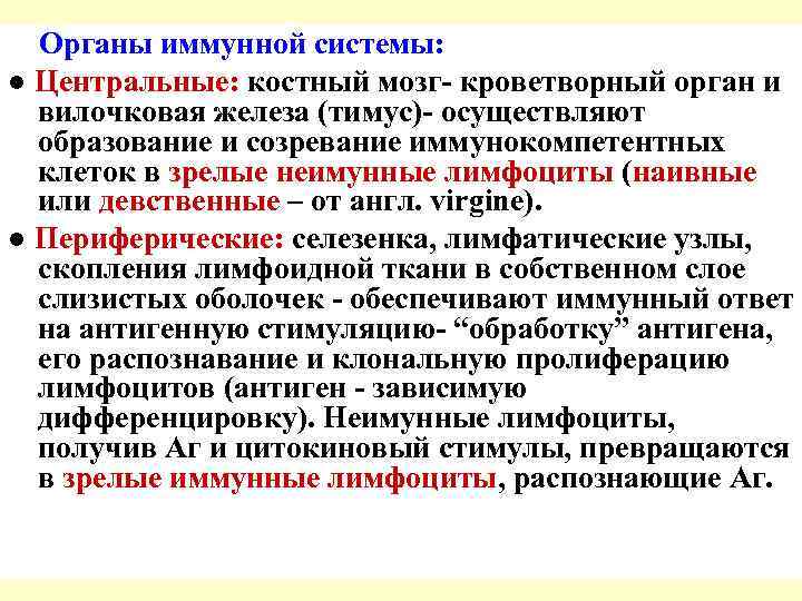   Иммунокомпетентные клетки подразделяют на два класса- Т и В.  Предшественники Т-