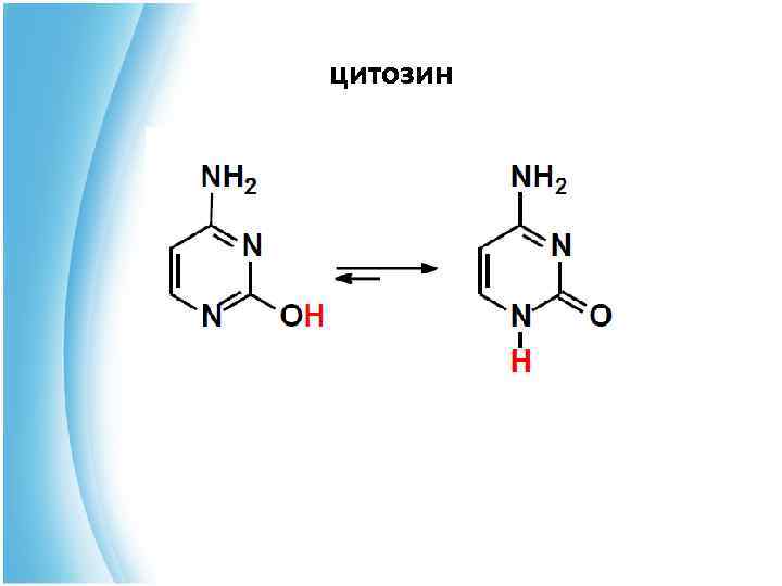 цитозин 