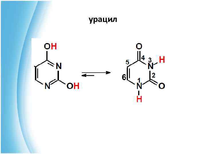 урацил 