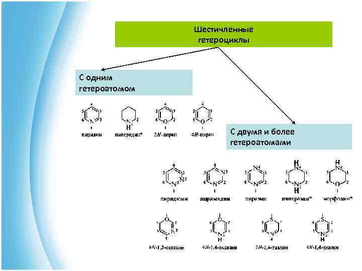  Шестичленные гетероциклы С одним гетероатомом С двумя и более гетероатомами 