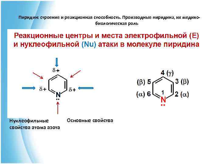  Пиридин: строение и реакционная способность. Производные пиридина, их медико- биологическая роль Нуклеофильные Основные