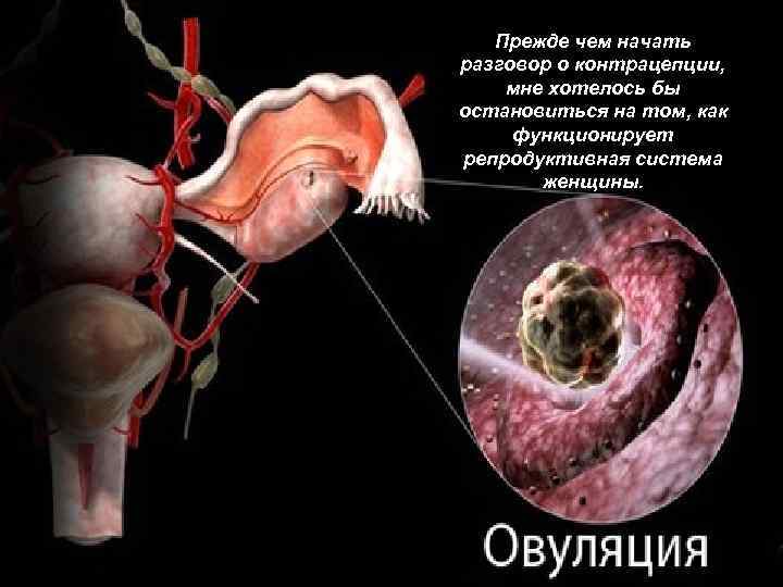  Прежде чем начать LOGO разговор о контрацепции, мне хотелось бы остановиться на том,