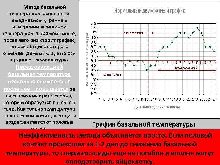  Метод базальной температуры основан на LOGO ежедневном утреннем измерении женщиной температуры в прямой