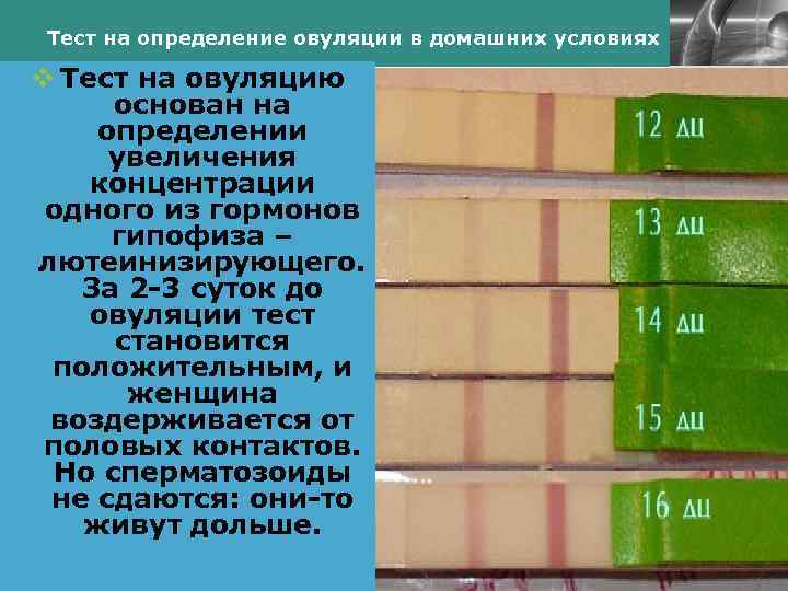 Тест на определение овуляции в домашних условиях LOGO v Тест на овуляцию основан на