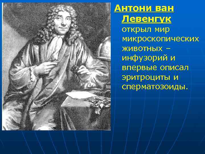 Антони ван Левенгук открыл мир микроскопических животных – инфузорий и впервые описал эритроциты и