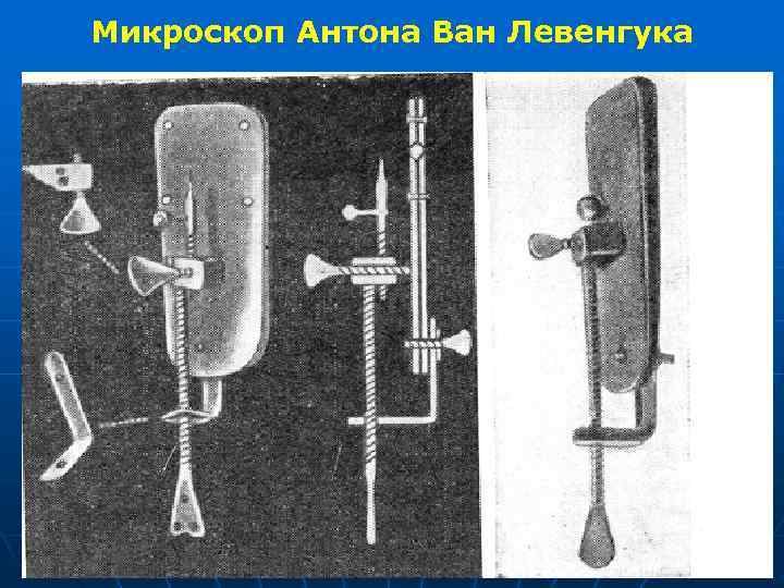 Микроскоп Антона Ван Левенгука 