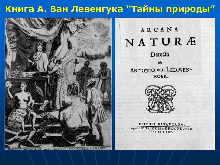 Книга А. Ван Левенгука “Тайны природы” 