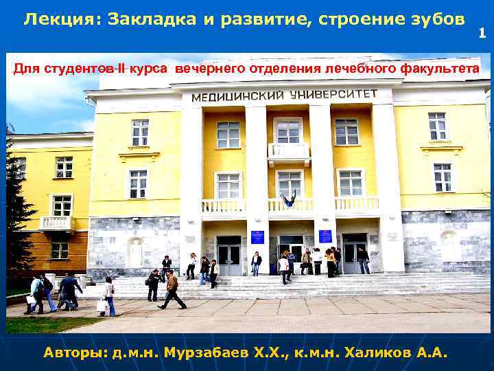  Лекция: Закладка и развитие, строение зубов      1 Для