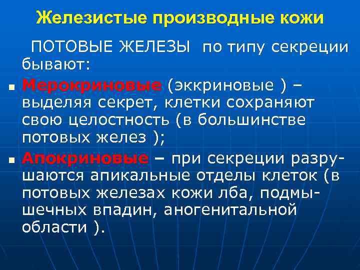 Железистые производные кожи ПОТОВЫЕ ЖЕЛЕЗЫ по типу секреции бывают: n Мерокриновые (эккриновые Железистые производные кожи ПОТОВЫЕ ЖЕЛЕЗЫ по типу секреции бывают: n Мерокриновые (эккриновые