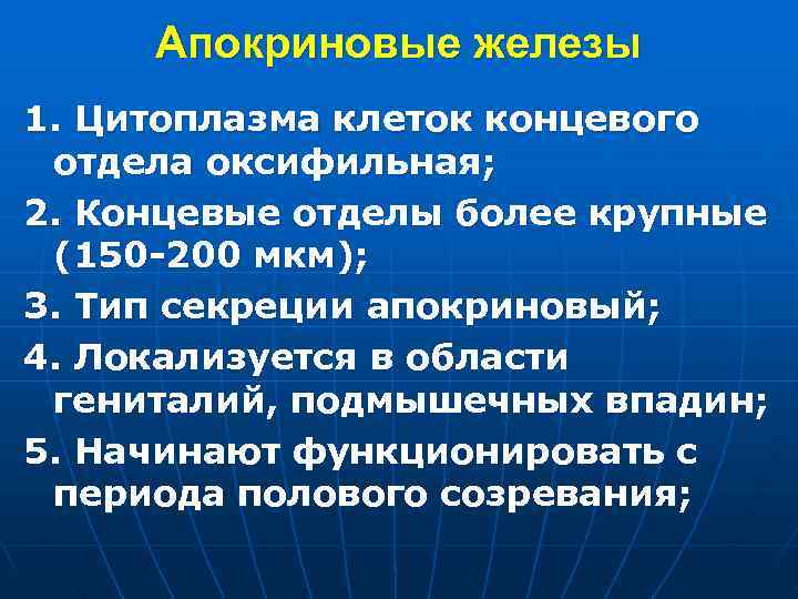 Апокриновые железы 1. Цитоплазма клеток концевого отдела оксифильная; 2. Концевые отделы более крупные Апокриновые железы 1. Цитоплазма клеток концевого отдела оксифильная; 2. Концевые отделы более крупные