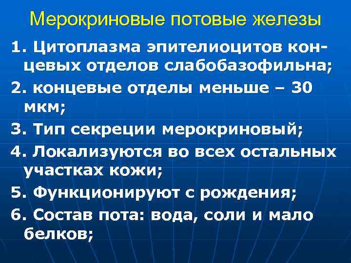 Мерокриновые потовые железы 1. Цитоплазма эпителиоцитов кон- цевых отделов слабобазофильна; 2. концевые отделы Мерокриновые потовые железы 1. Цитоплазма эпителиоцитов кон- цевых отделов слабобазофильна; 2. концевые отделы