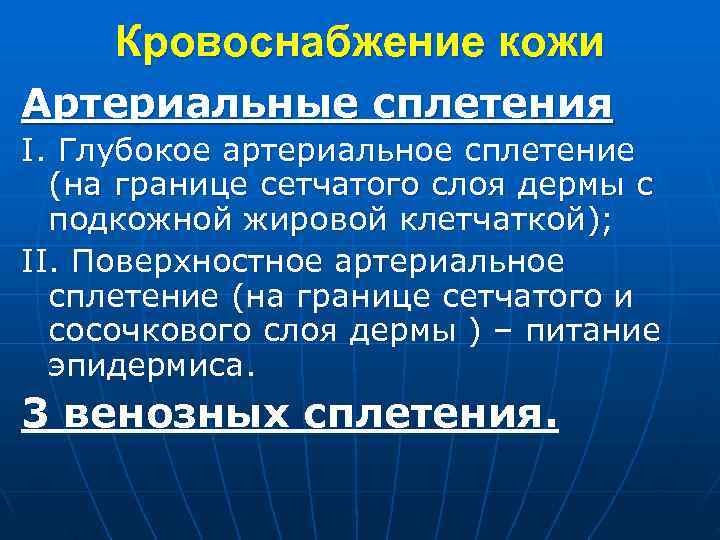 Кровоснабжение кожи Артериальные сплетения I. Глубокое артериальное сплетение (на границе сетчатого слоя Кровоснабжение кожи Артериальные сплетения I. Глубокое артериальное сплетение (на границе сетчатого слоя