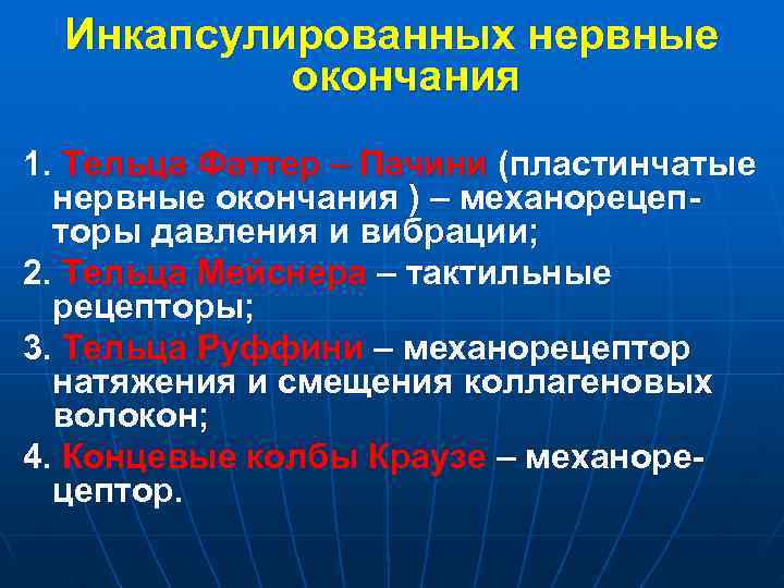 Инкапсулированных нервные окончания 1. Тельца Фаттер – Пачини (пластинчатые нервные окончания Инкапсулированных нервные окончания 1. Тельца Фаттер – Пачини (пластинчатые нервные окончания