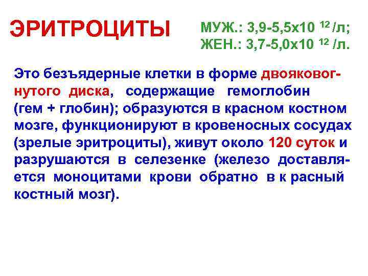 ЭРИТРОЦИТ ЭРИТРОЦИТ