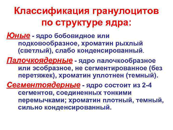 Нейтрофильные гранулоциты (микрофаги) - лейкоциты с мелкими (пылевидными), равномерно распределенными Нейтрофильные гранулоциты (микрофаги) - лейкоциты с мелкими (пылевидными), равномерно распределенными