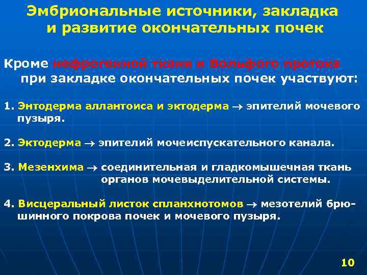  Эмбриональные источники, закладка и развитие окончательных почек Кроме нефрогенной ткани и Вольфого протока