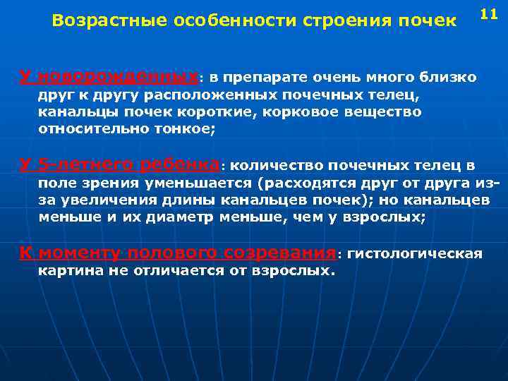  Возрастные особенности строения почек 11 У новорожденных: в препарате очень много близко друг