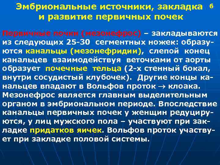  Эмбриональные источники, закладка 6 и развитие первичных почек Первичные почки (мезонефрос) – закладываются