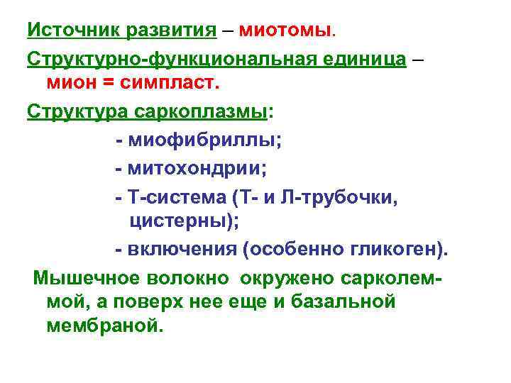 Источник развития – миотомы. Структурно-функциональная единица – мион = симпласт. Структура саркоплазмы: - миофибриллы;