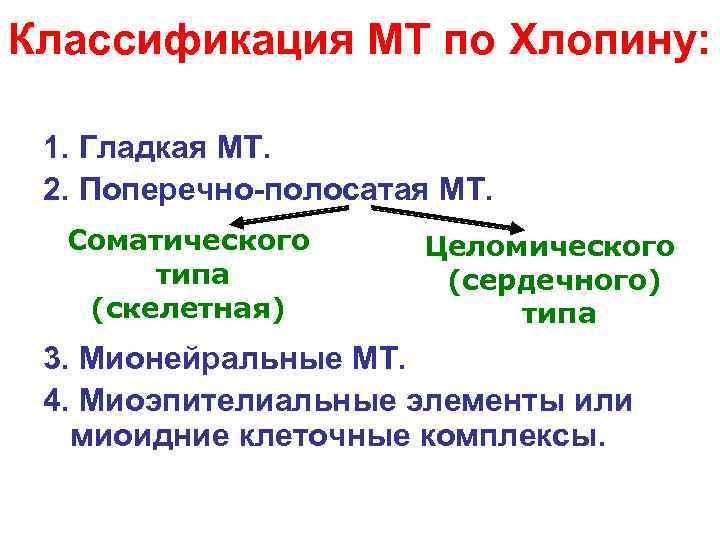 Классификация МТ по Хлопину: 1. Гладкая МТ. 2. Поперечно-полосатая МТ. Соматического Целомического типа (сердечного)