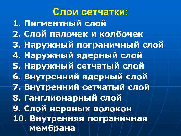  Слои сетчатки: 1. Пигментный слой 2. Слой палочек и колбочек 3. Наружный пограничный