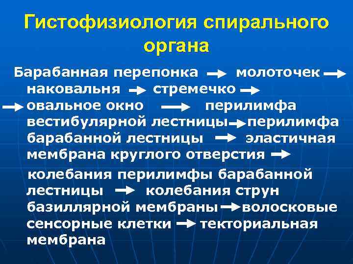  Гистофизиология спирального органа Барабанная перепонка молоточек наковальня стремечко овальное окно перилимфа вестибулярной лестницы