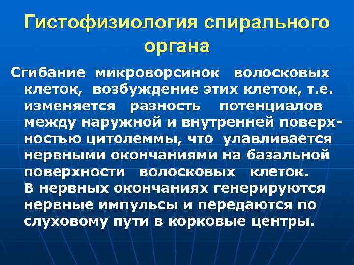  Гистофизиология спирального органа Сгибание микроворсинок волосковых клеток, возбуждение этих клеток, т. е. изменяется