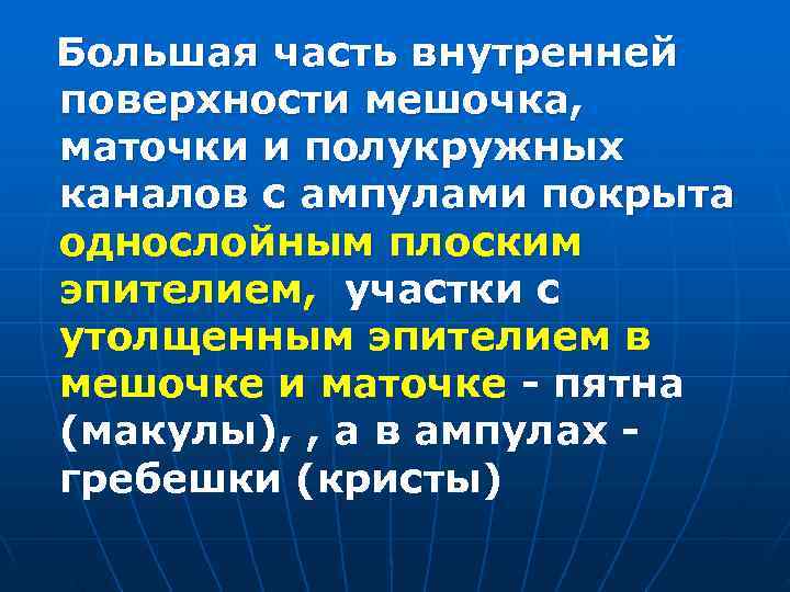 Большая часть внутренней поверхности мешочка, маточки и полукружных каналов с ампулами покрыта однослойным плоским