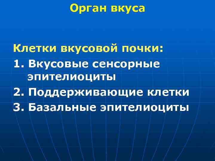  Орган вкуса Клетки вкусовой почки: 1. Вкусовые сенсорные эпителиоциты 2. Поддерживающие клетки 3.