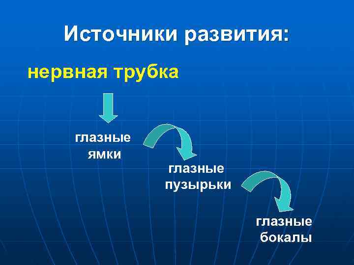  Источники развития: нервная трубка глазные ямки глазные пузырьки глазные бокалы 