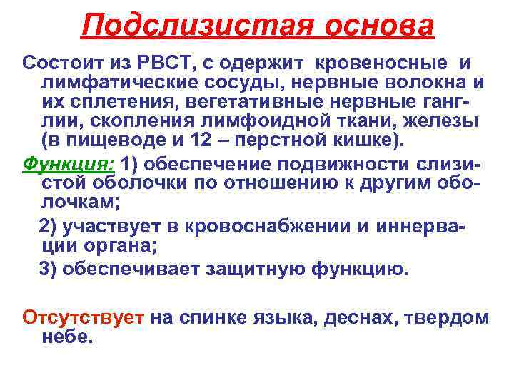  Подслизистая основа Состоит из РВСТ, с одержит кровеносные и лимфатические сосуды, нервные волокна