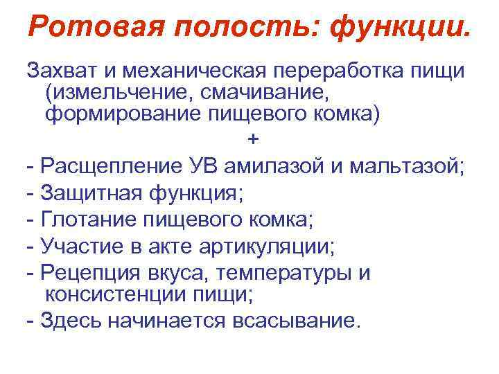 Ротовая полость: функции. Захват и механическая переработка пищи (измельчение, смачивание, формирование пищевого комка) +