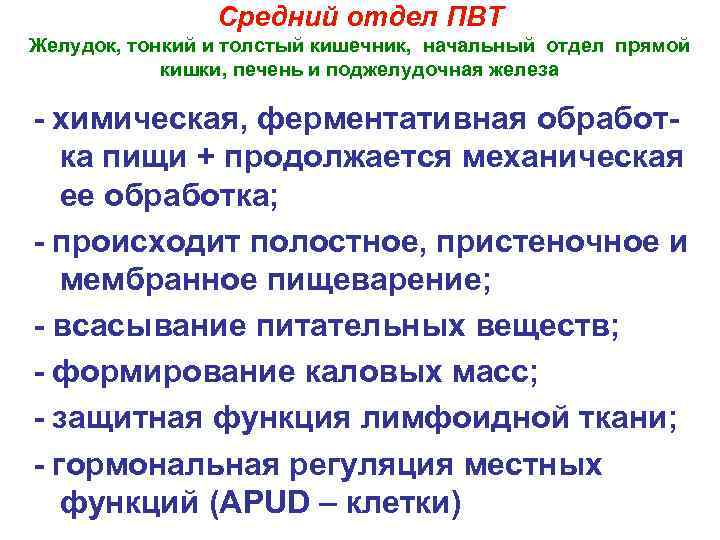  Средний отдел ПВТ Желудок, тонкий и толстый кишечник, начальный отдел прямой кишки, печень