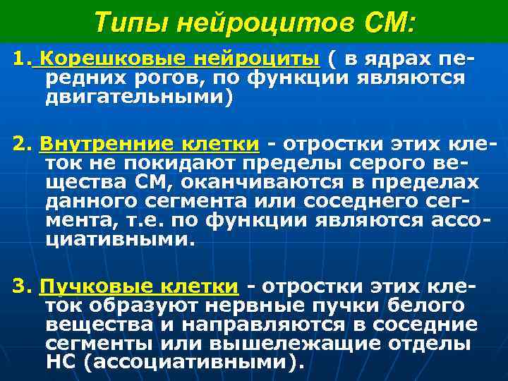  Типы нейроцитов СМ: 1. Корешковые нейроциты ( в ядрах пе- редних рогов, по