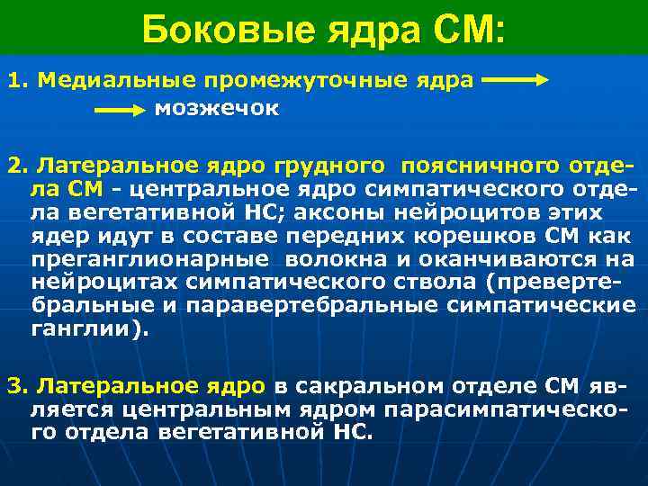  Боковые ядра СМ: 1. Медиальные промежуточные ядра мозжечок 2. Латеральное ядро грудного поясничного