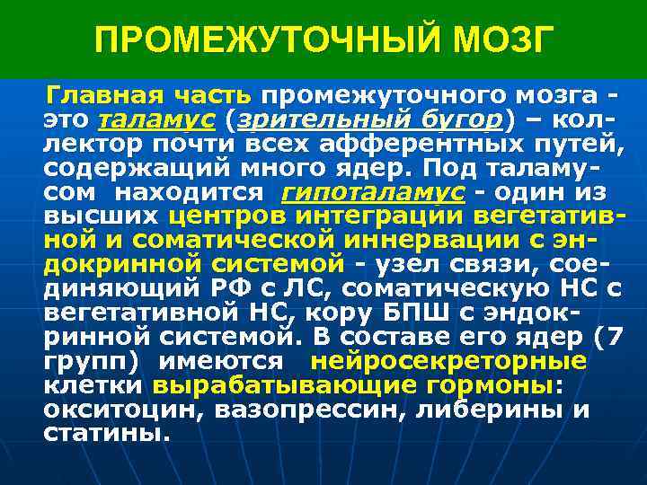  ПРОМЕЖУТОЧНЫЙ МОЗГ Главная часть промежуточного мозга - это таламус (зрительный бугор) – кол-