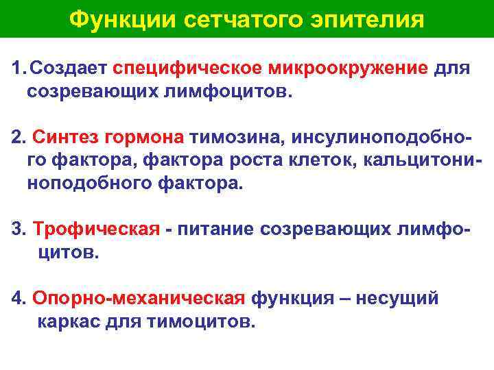  Функции сетчатого эпителия 1. Создает специфическое микроокружение для созревающих лимфоцитов. 2. Синтез гормона
