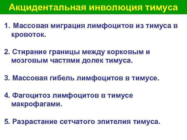  Акцидентальная инволюция тимуса 1. Массовая миграция лимфоцитов из тимуса в кровоток. 2. Стирание