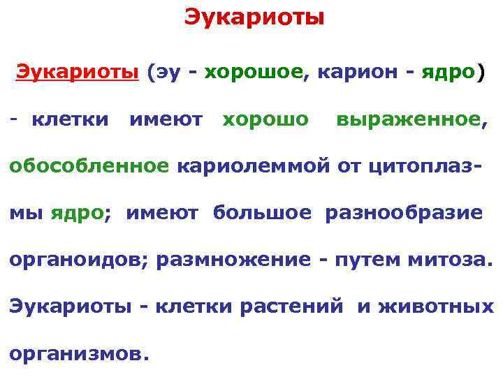  Эукариоты (эу - хорошое, карион - ядро) - клетки имеют хорошо выраженное, обособленное