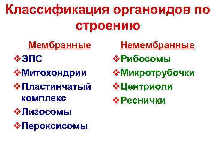 Классификация органоидов по строению Мембранные Немембранные v. ЭПС v. Рибосомы v. Митохондрии v. Микротрубочки