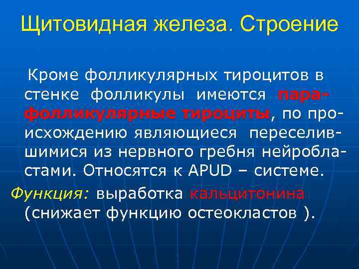 Щитовидная железа. Строение Кроме фолликулярных тироцитов в стенке фолликулы имеются пара- фолликулярные тироциты, по