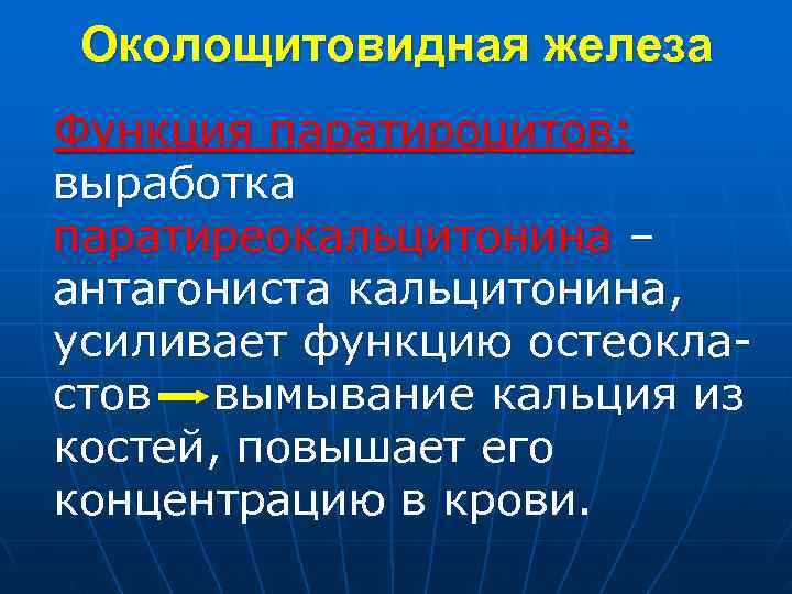  Околощитовидная железа Функция паратироцитов: выработка паратиреокальцитонина – антагониста кальцитонина, усиливает функцию остеокла- стов