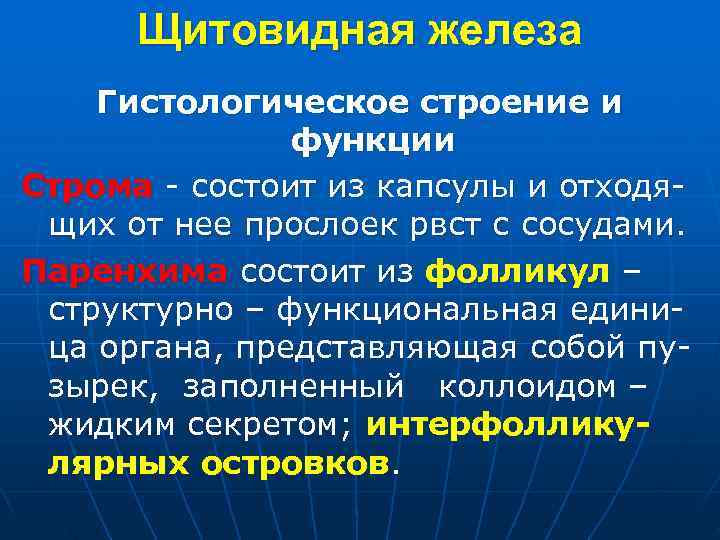  Щитовидная железа Гистологическое строение и функции Строма - состоит из капсулы и отходя-