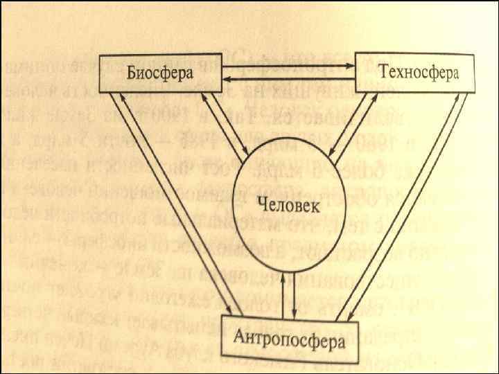 Факторы(factor - делающий, производящий)  • Внутренние - внешние • Основа  факторов: 