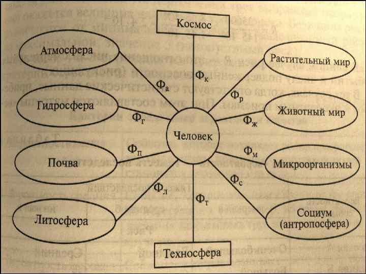     11 Биологический обмен веществ между • человеком и природой сохранился,