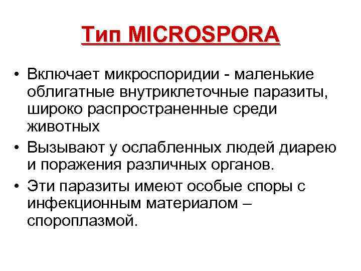  Тип MICROSPORA • Включает микроспоридии - маленькие облигатные внутриклеточные паразиты, широко распространенные среди