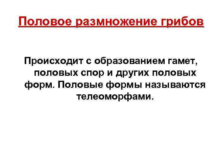 Половое размножение грибов Происходит с образованием гамет, половых спор и других половых форм. Половые